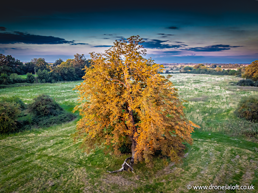 Wenny Road Meadow Gallery - United Kingdom