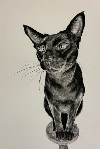 Mae Annie Norman pet portraits Gallery - United Kingdom
