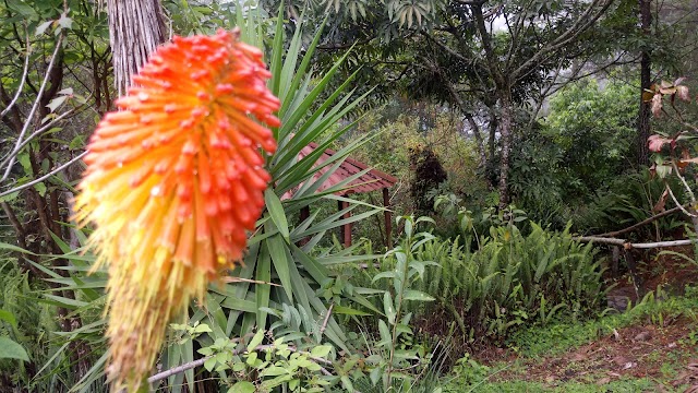 El Boquerón National Park