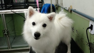 Photos of Veterin&aacute;ria S&atilde;o Benedito