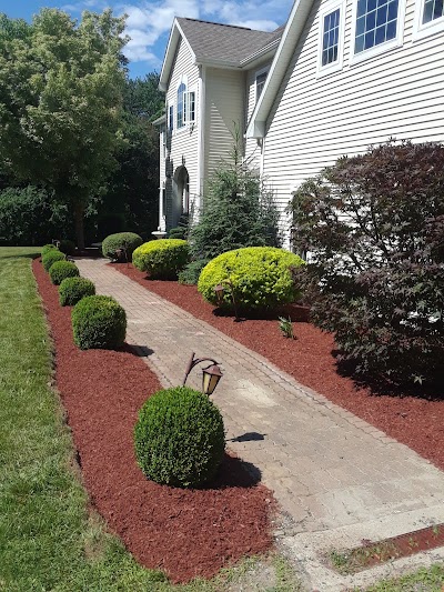 Sergio Landscaping LLC