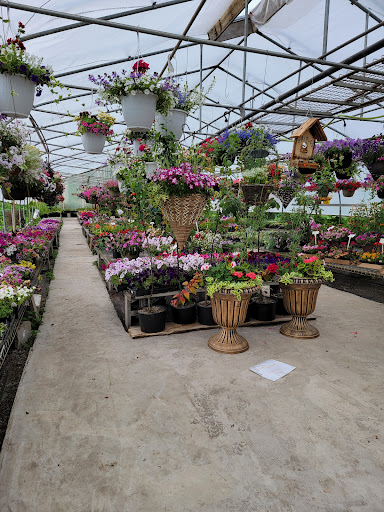 Springtime Solutions - Visual