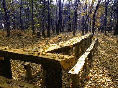 Photos of Primăria Speia