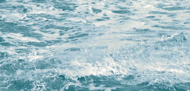 Opinii despre A/S Max Hansen Rengøring în København - Rengøring