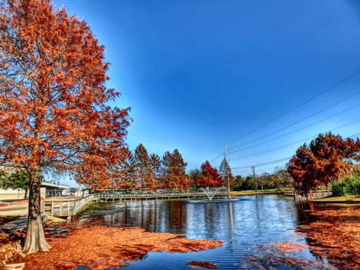 Cy Miller Park - Thumbnail