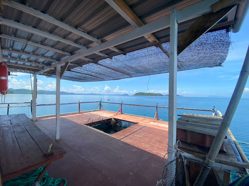 KOLAM PANCING DELMARS