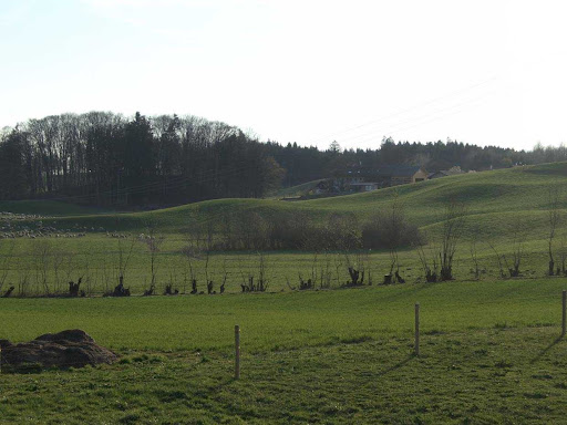 BaumHaus Immobilien - Thumbnail