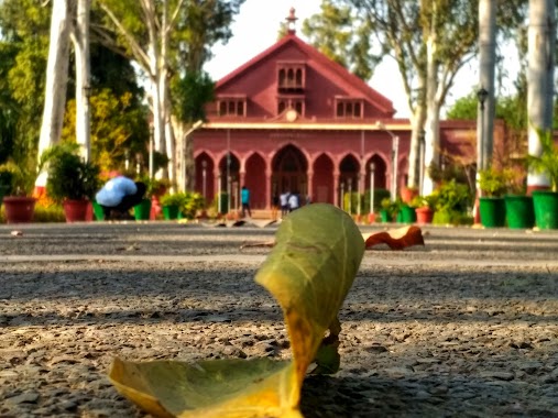 Aligarh Muslim University, Author: Muhammad Noman