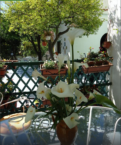 B&B Albatros by null