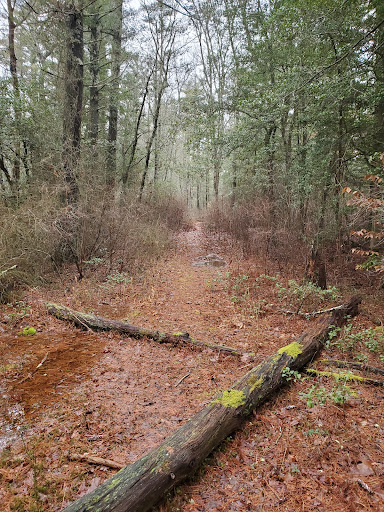 Mattapoisett River Wildlife Management Area - Thumbnail