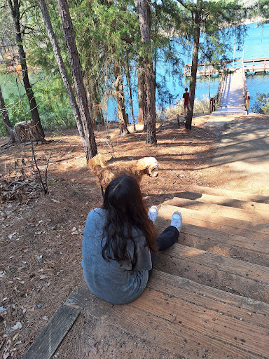CCC Overlook - Visual
