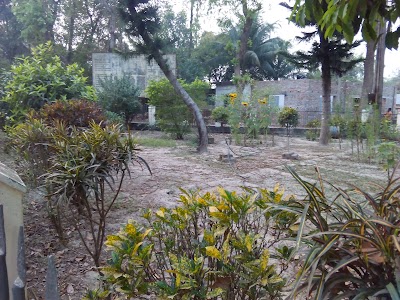 Photos of Bizrul Hospital