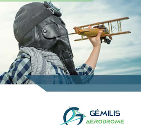 Photo n°38 de GEMILIS AERO GESTION à Jasseron (Conseiller en gestion des affaires)