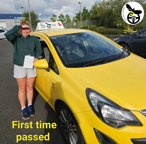 Bee Driving School (Automatic) - Visual