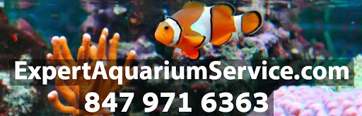 Expert Aquarium Service - Thumbnail