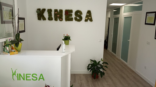 KINESA - Visual