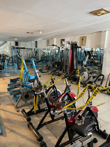 GYM BLANSER - Thumbnail