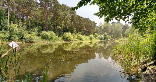 Vierling - Visual