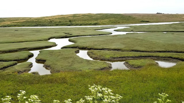 Point Reyes National Seashore