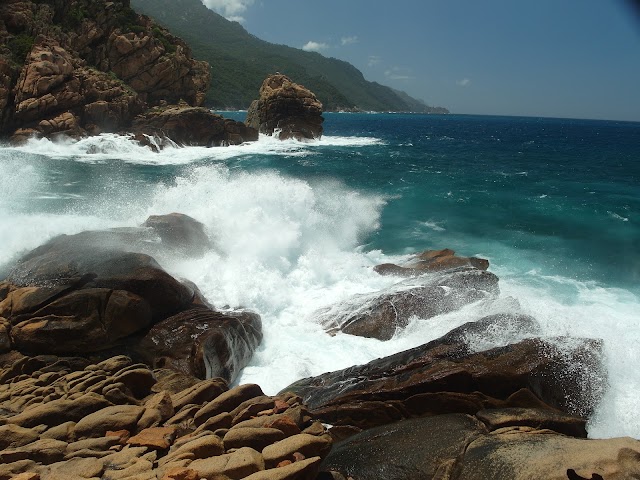 Plage de Porto