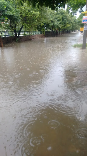 Af1qippy  Vi4jiipyhprl5cl39sw7dr Pyphihfalyh=s508 K No