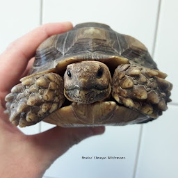 Photo n°32 de Anidoc' à Hautot-sur-Mer (Clinique vétérinaire)