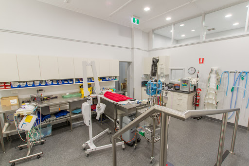 Stephen Terrace Veterinary Clinic Gallery - Australia