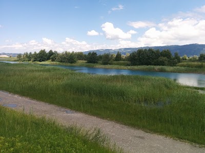 Photos of Rheindeltahaus
