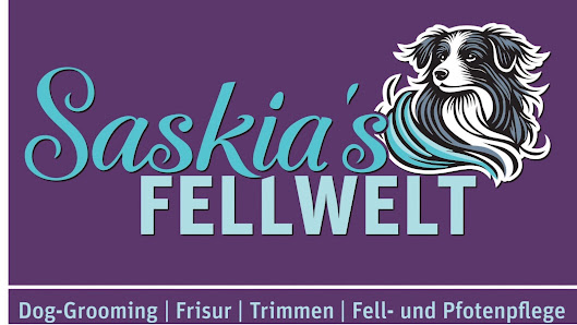 Neueste