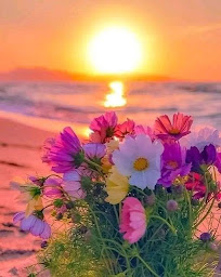 Photo n°38 de Paris Reiki - Réflexologie Plantaire à Paris (Programme de bien-être)