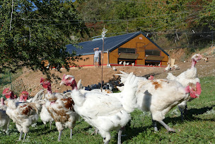 Photo n°2 de Les Volailles terre de Toine à Pierlas (Ferme)