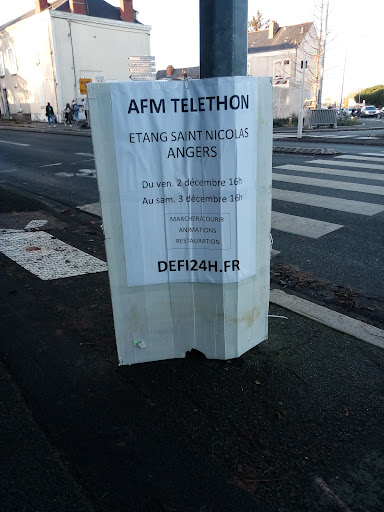 Photo de Afm Telethon