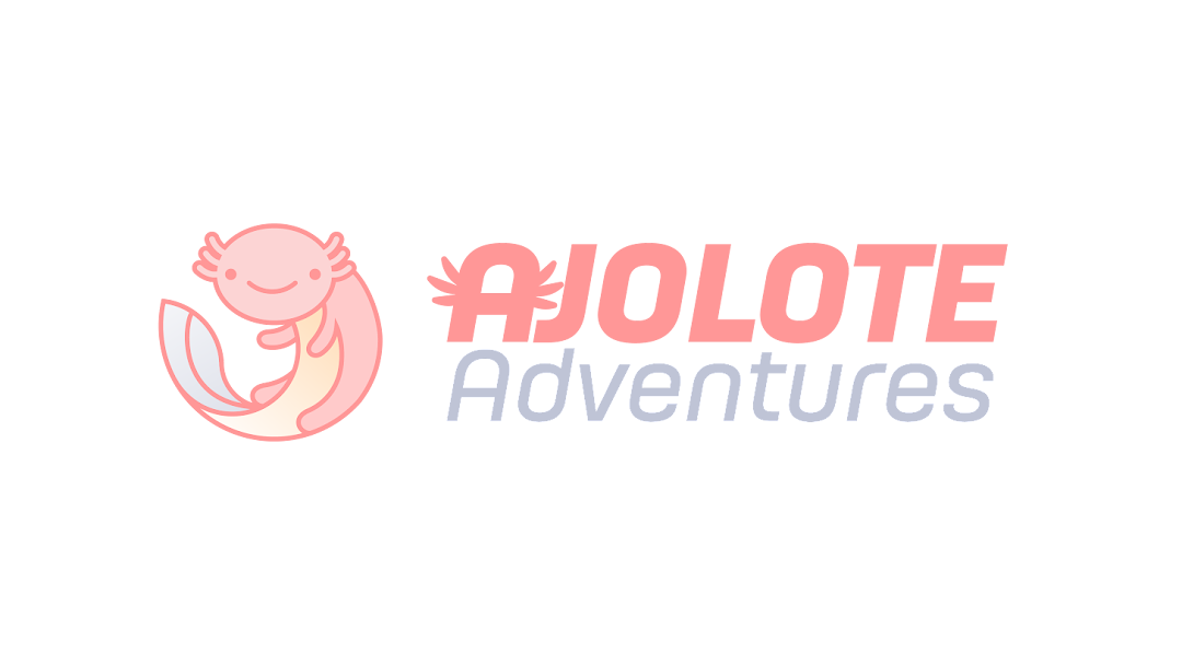 Adventure Log — Anclote