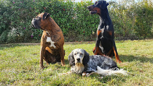 Photo n°20 de Objectif'Educ / Riaud Nicolas à Mainvilliers (Dresseur pour chiens)