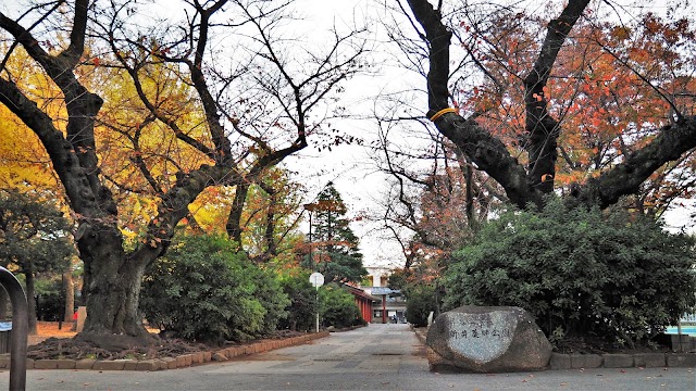 Araiyakushi Park