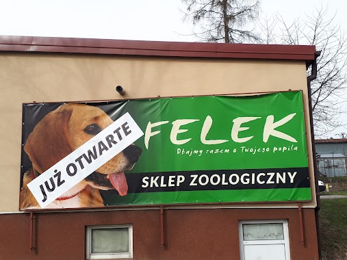 Sklep Zoologiczny Felek, Author: Dominika Czarnik