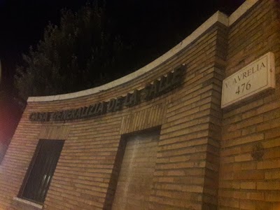 Photos of Carabinieri Officers School