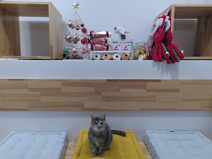 Photo n°8 de Vet en Gatinais - Clinique Vétérinaire - Dr. Claire GAILLOT à Perthes (Clinique vétérinaire)