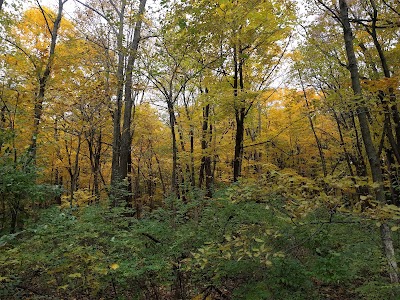 Hammel Woods - DuPage River Access