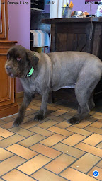 Photo n°8 de Frimousse Canine à Gries (Toiletteur)