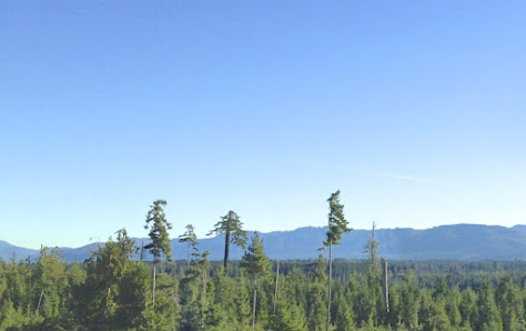 RE/MAX The Islands 3223 Lacon Rd, Denman Island, BC V0R 1T0, Canada