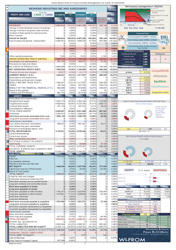 TopTiles Italy World & Spain-Financial Statements Analysis about italian, spanish and world quoted ceramics - Thumbnail