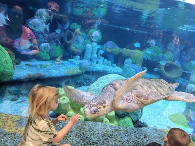 Oklahoma Aquarium