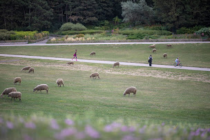 Photo n°34 de Parc départemental Georges Valbon à La Courneuve (Terrain de jeu)