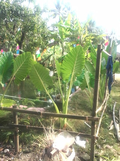 Photos of KHANAYA/KALILA HOME'S ( @ikijawa Familly )