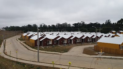 Photos of colmenares aylin