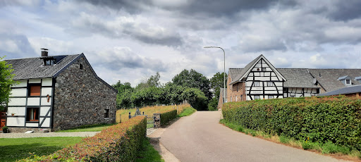Lingberg - Visual