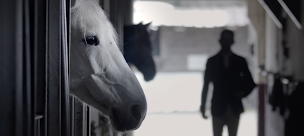 Photo n°21 de Centre Equestre de la Forêt de Chaux à Dole (Centre équestre)