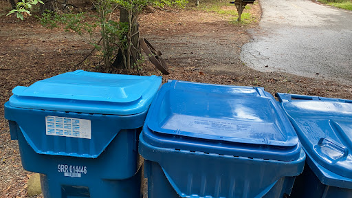 Cleaned Bins - Visual