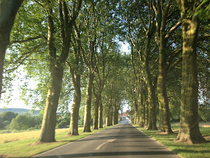 Photo n°13 de Drs Hoffmann et Hannetel à Damery (Dentiste)